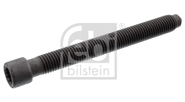 Cylinder Head Bolt